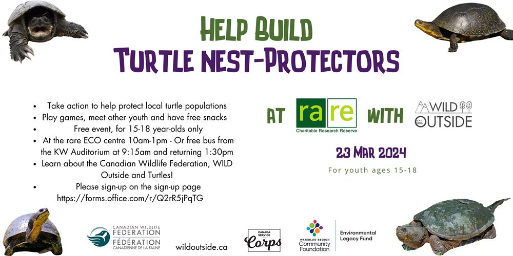 Turtle Nest-Protector Event Image
